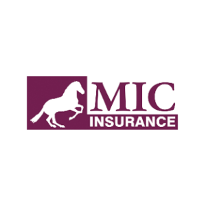 logo MIC
